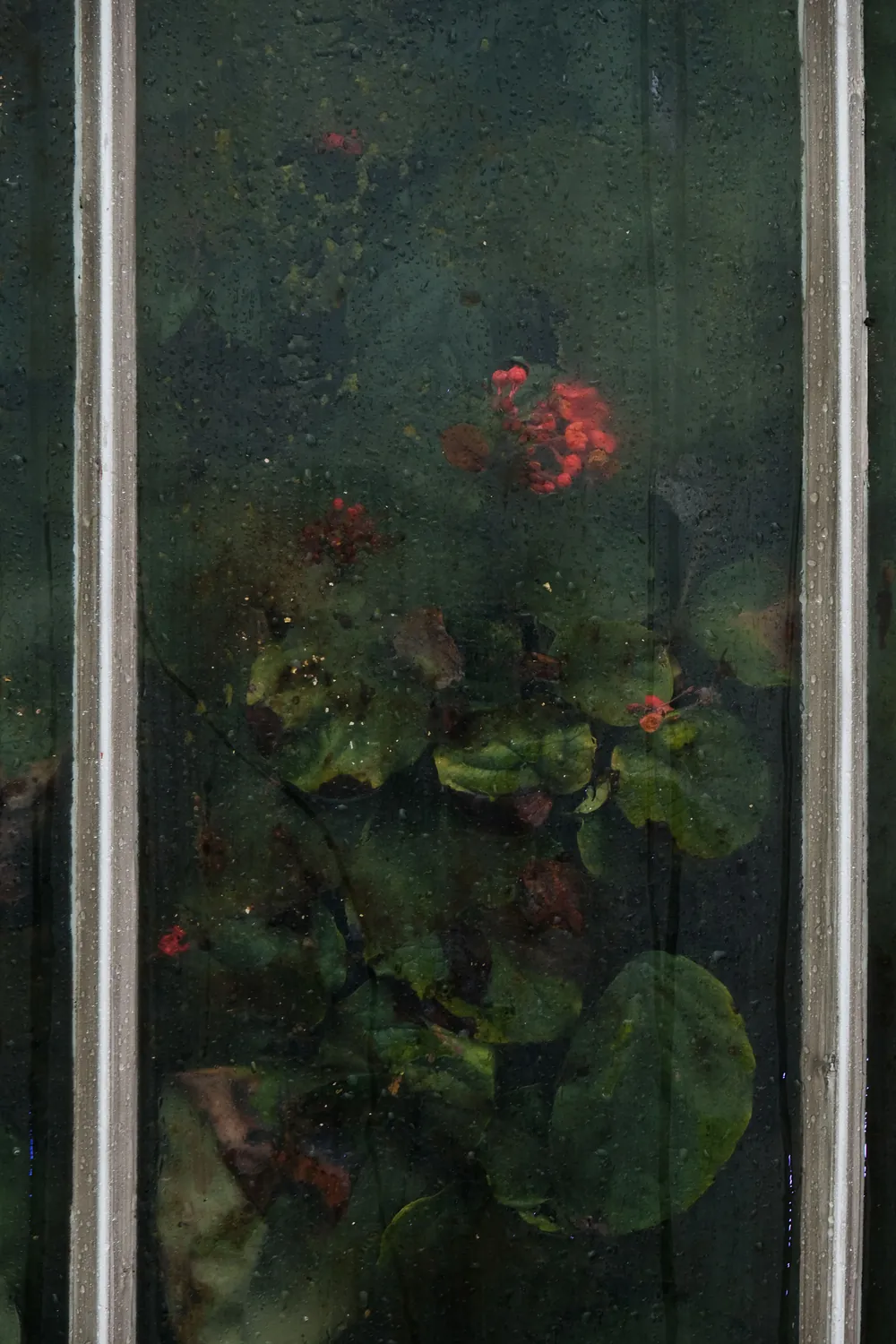 ORGANIC FORMS GREEN RED GLASS
