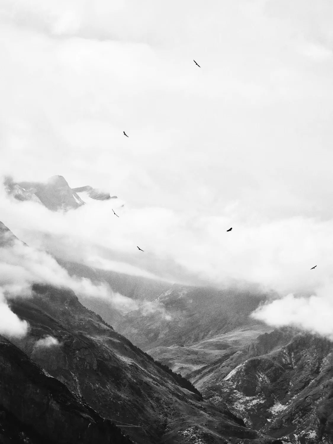 GAVARNIE VULTURES PYRENEES LANDSCAPE PHOTOGRAPHY 