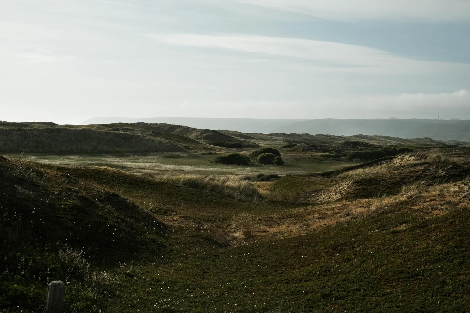 Landscape Vauville nature sea grass 