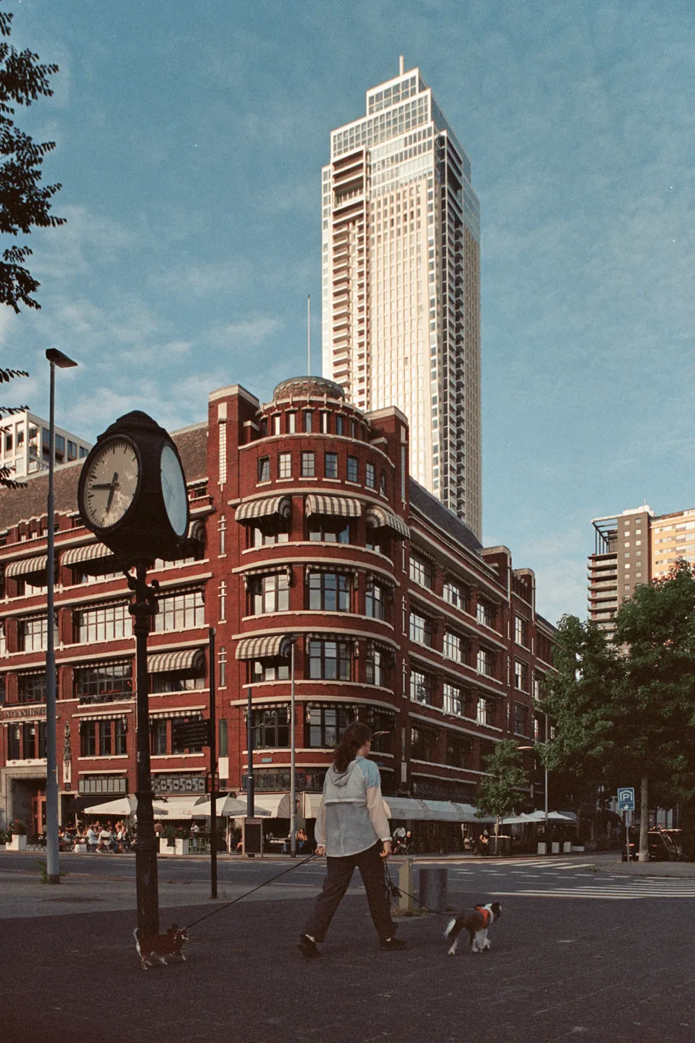 ROTTERDAM STREETPHOTO BUILDINGS TOWER GIRL DOG