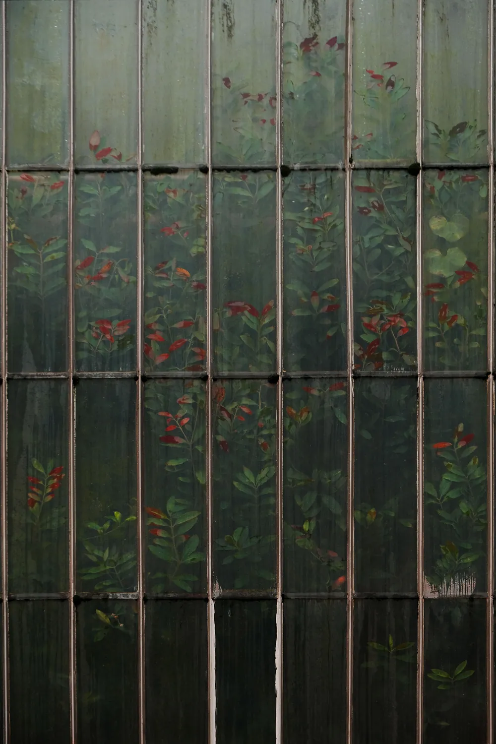 KEW GARDEN BOTANICAL FORMS COLORS