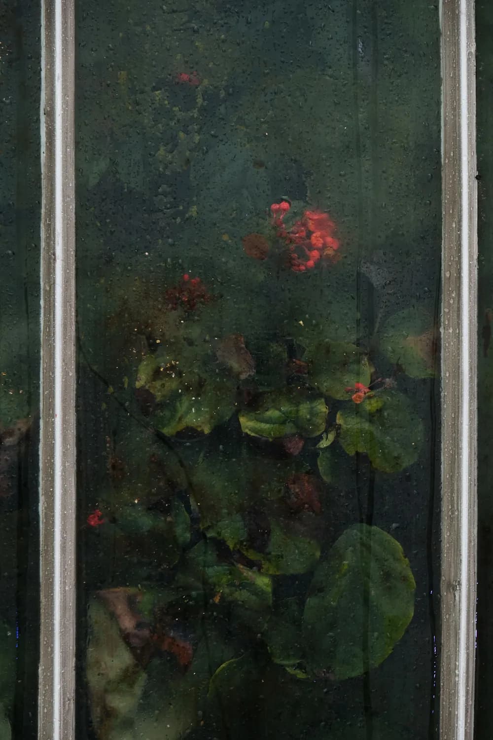 ORGANIC FORMS GREEN RED GLASS