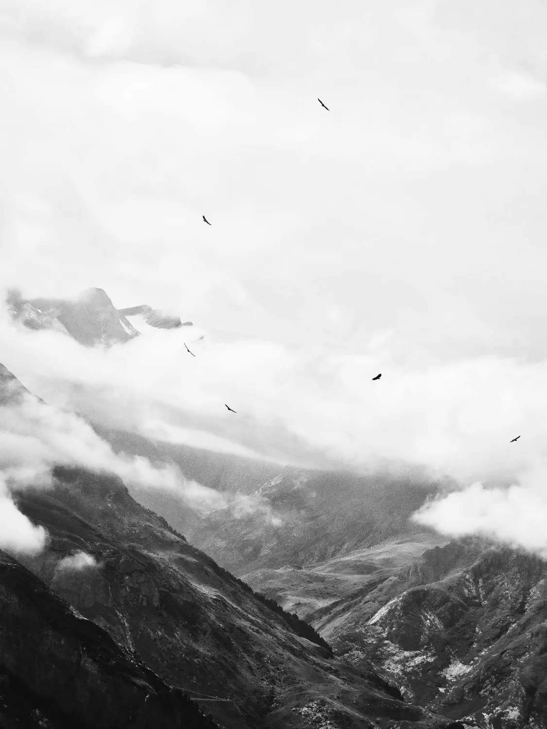 GAVARNIE VULTURES PYRENEES LANDSCAPE PHOTOGRAPHY 