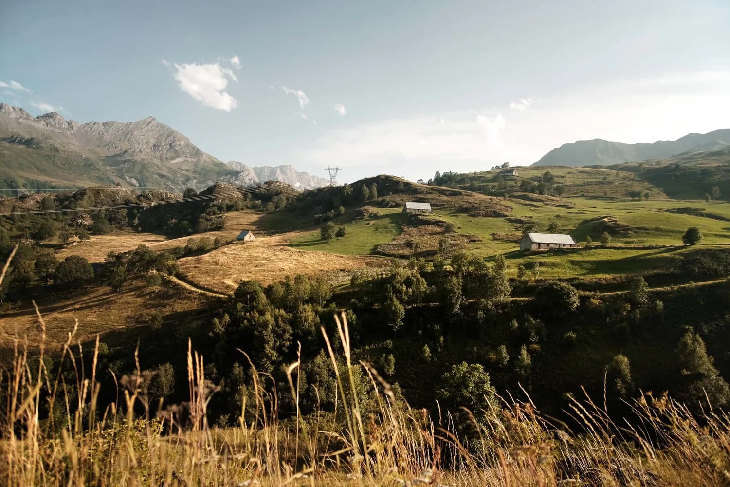 MOUNTAIN PYRENEES