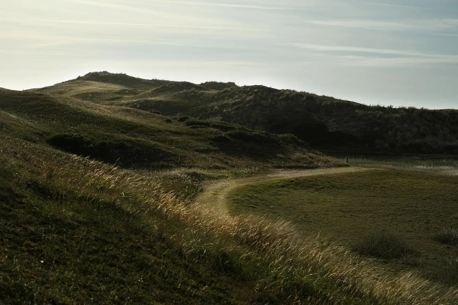 Vauville Landscape grass 