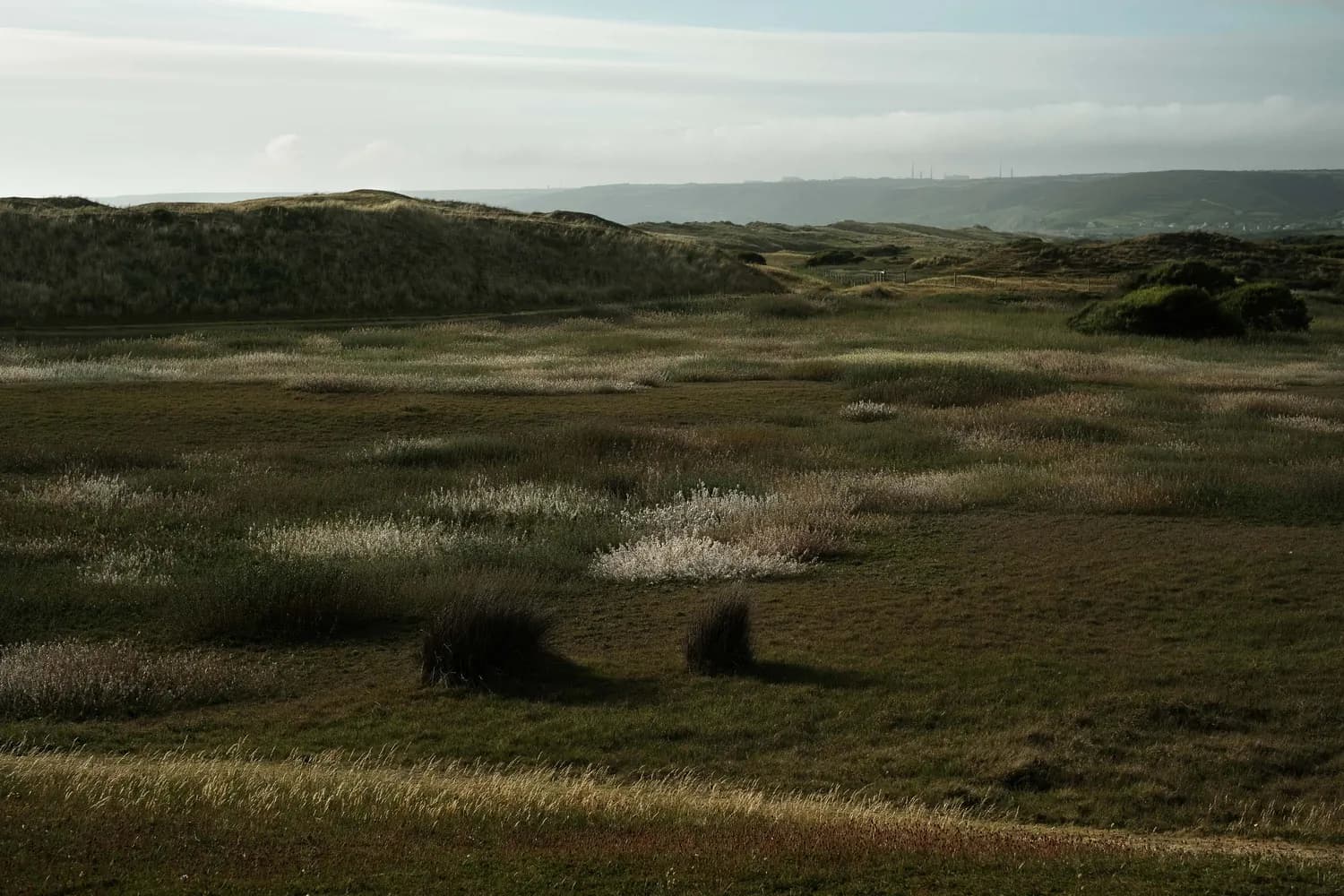 Vauville Landscape grass sea 
