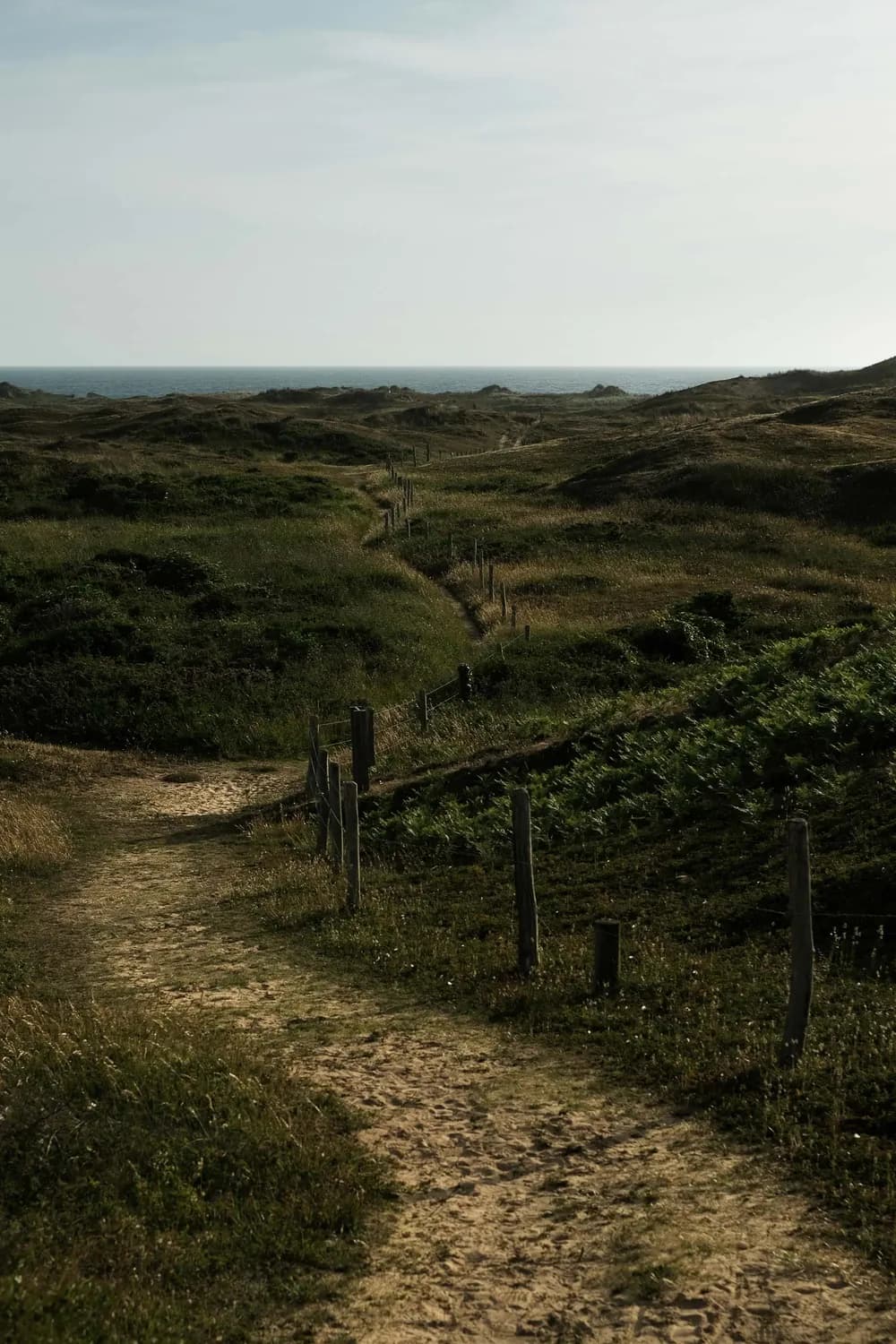 landscape path grass sea 