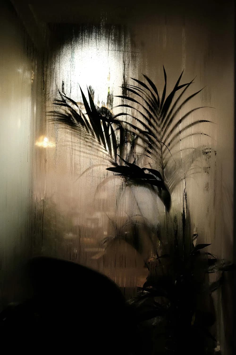 REFLECTION PLANT FORME LIGHT FOG 